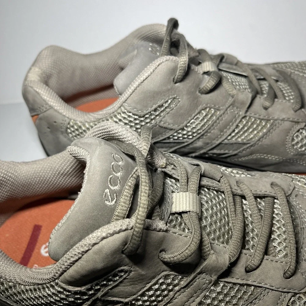 Ecco women receptor